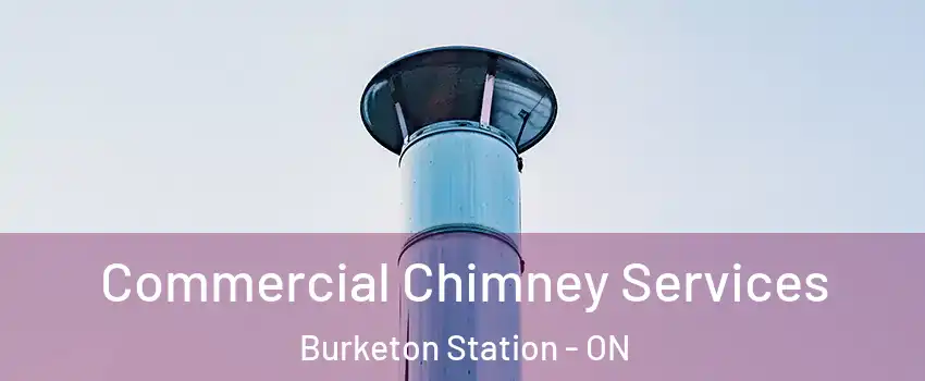  Commercial Chimney Services Burketon Station - ON