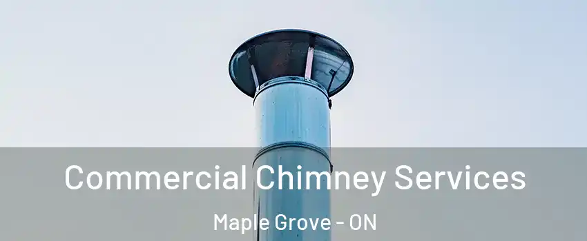  Commercial Chimney Services Maple Grove - ON