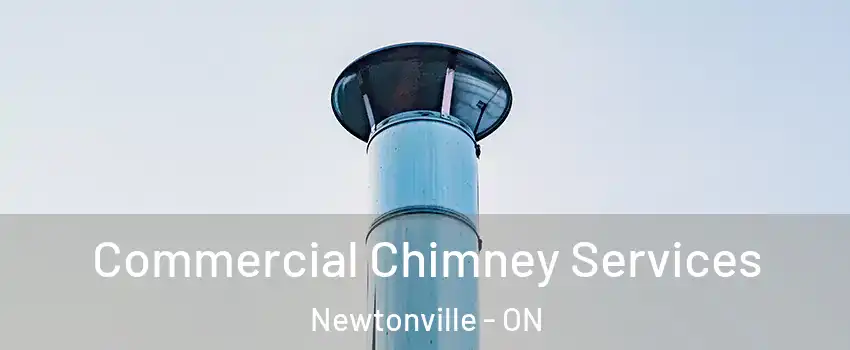  Commercial Chimney Services Newtonville - ON