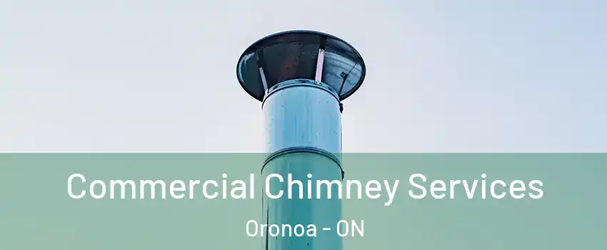  Commercial Chimney Services Oronoa - ON