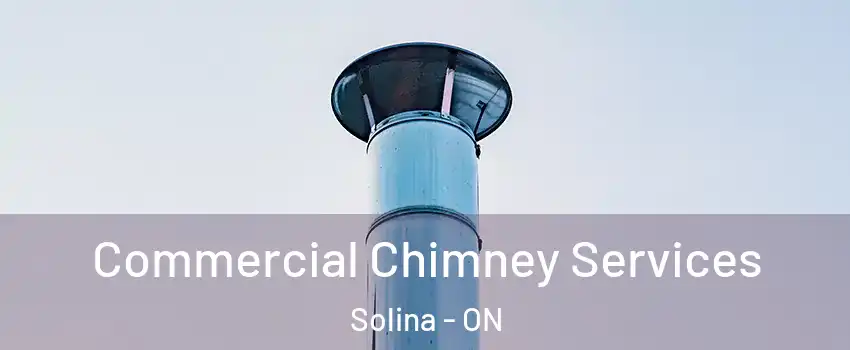 Commercial Chimney Services Solina - ON