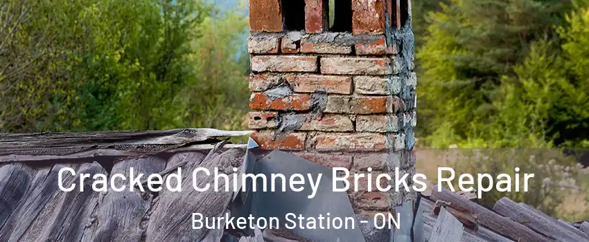  Cracked Chimney Bricks Repair Burketon Station - ON