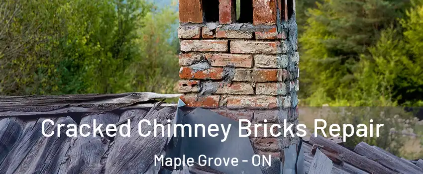  Cracked Chimney Bricks Repair Maple Grove - ON