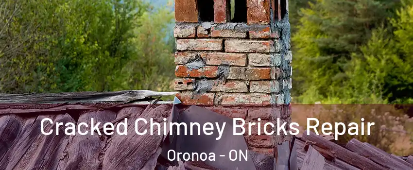  Cracked Chimney Bricks Repair Oronoa - ON