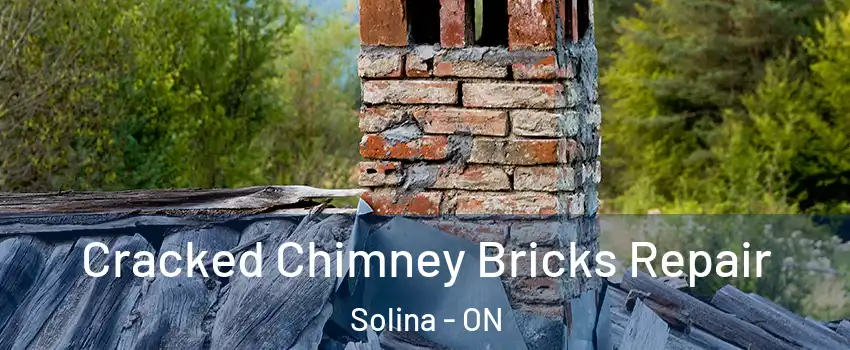  Cracked Chimney Bricks Repair Solina - ON