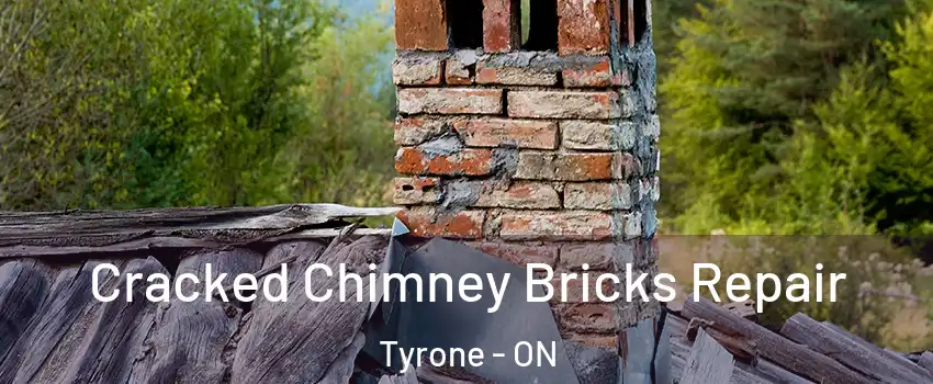  Cracked Chimney Bricks Repair Tyrone - ON