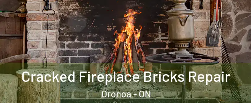  Cracked Fireplace Bricks Repair Oronoa - ON