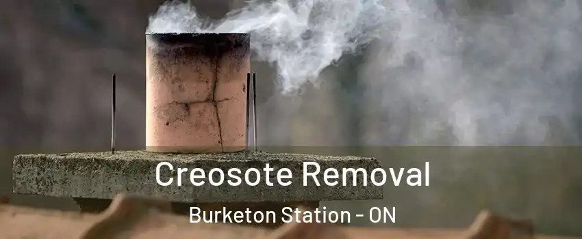  Creosote Removal Burketon Station - ON