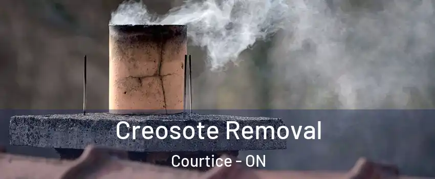  Creosote Removal Courtice - ON
