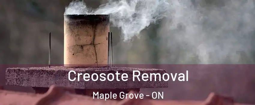  Creosote Removal Maple Grove - ON