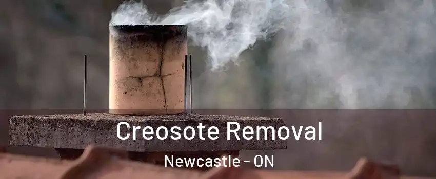  Creosote Removal Newcastle - ON