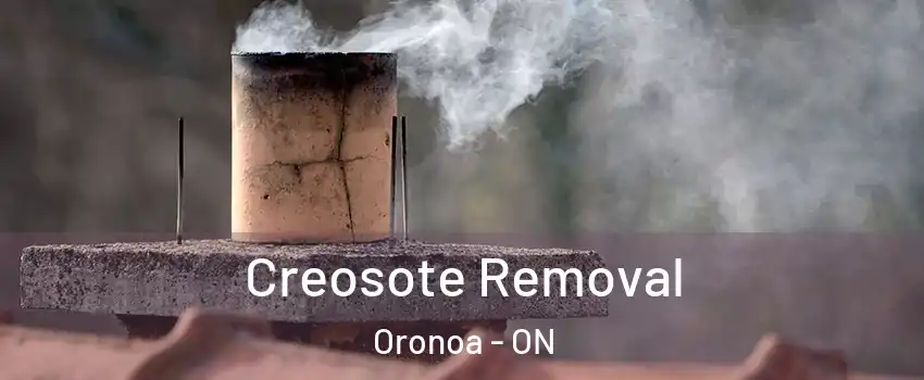 Creosote Removal Oronoa - ON