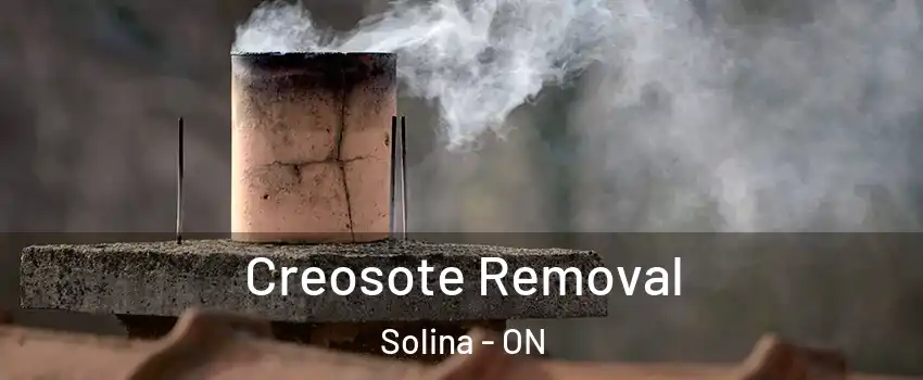  Creosote Removal Solina - ON