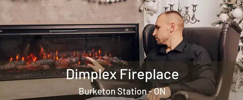  Dimplex Fireplace Burketon Station - ON