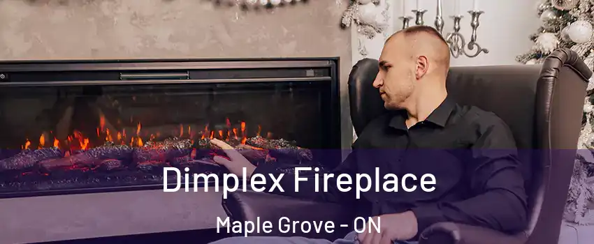  Dimplex Fireplace Maple Grove - ON