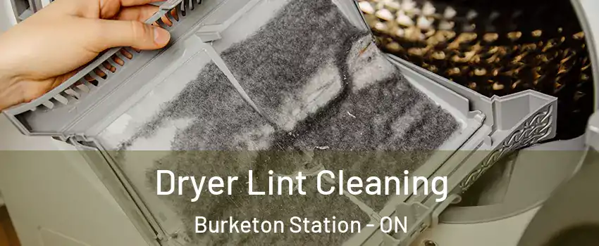  Dryer Lint Cleaning Burketon Station - ON