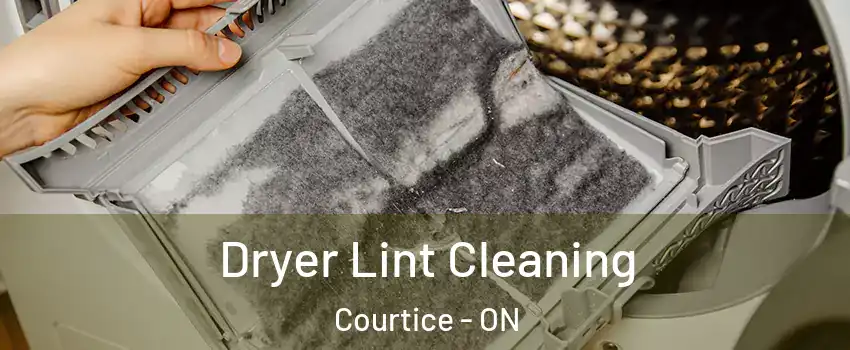  Dryer Lint Cleaning Courtice - ON
