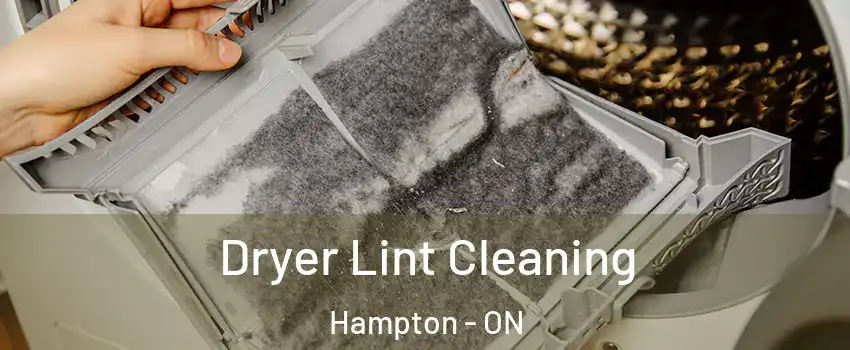  Dryer Lint Cleaning Hampton - ON