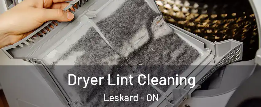  Dryer Lint Cleaning Leskard - ON