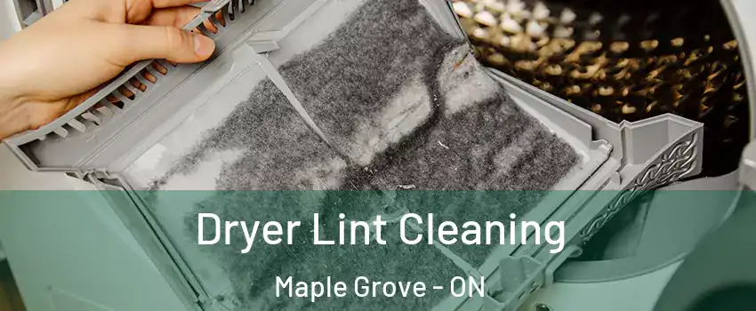  Dryer Lint Cleaning Maple Grove - ON