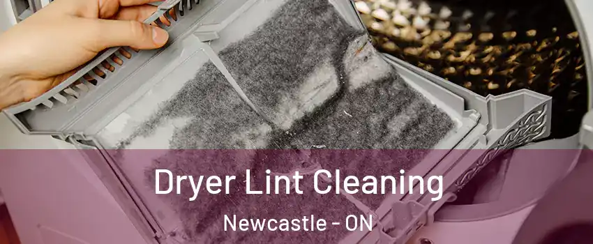  Dryer Lint Cleaning Newcastle - ON