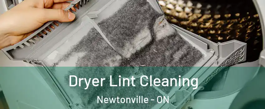  Dryer Lint Cleaning Newtonville - ON