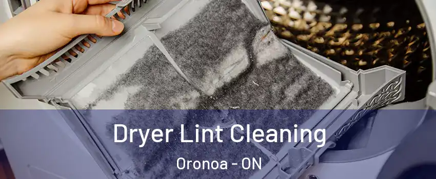  Dryer Lint Cleaning Oronoa - ON