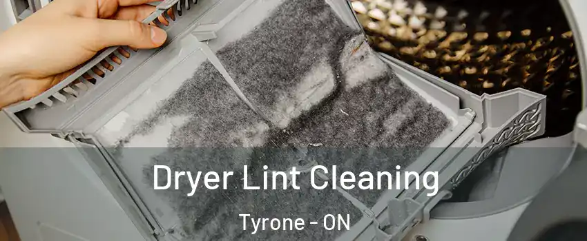  Dryer Lint Cleaning Tyrone - ON