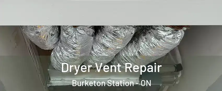 Dryer Vent Repair Burketon Station - ON