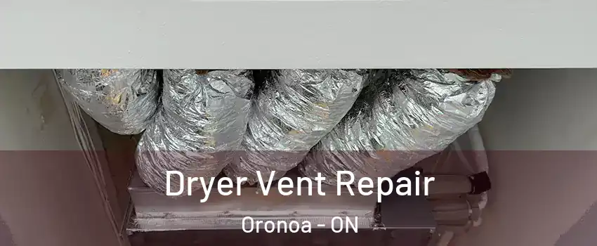  Dryer Vent Repair Oronoa - ON