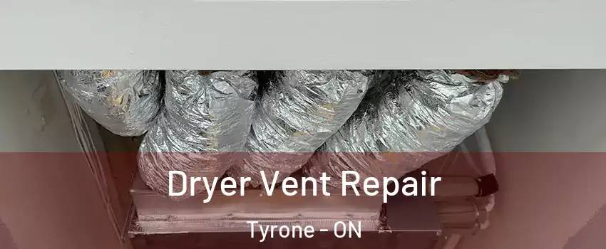  Dryer Vent Repair Tyrone - ON