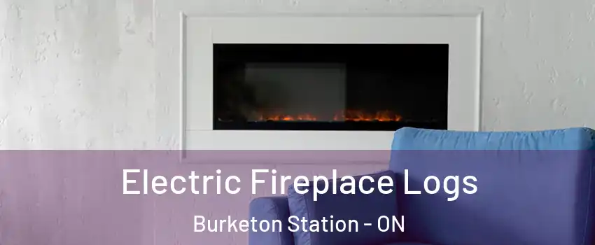  Electric Fireplace Logs Burketon Station - ON