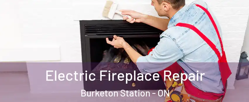  Electric Fireplace Repair Burketon Station - ON