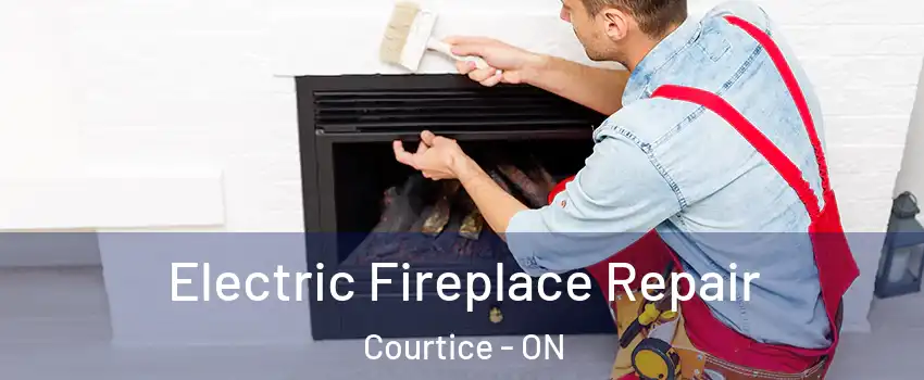  Electric Fireplace Repair Courtice - ON