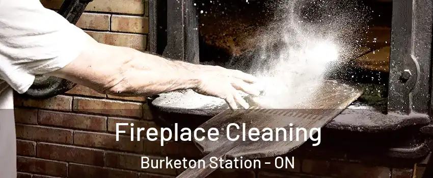  Fireplace Cleaning Burketon Station - ON