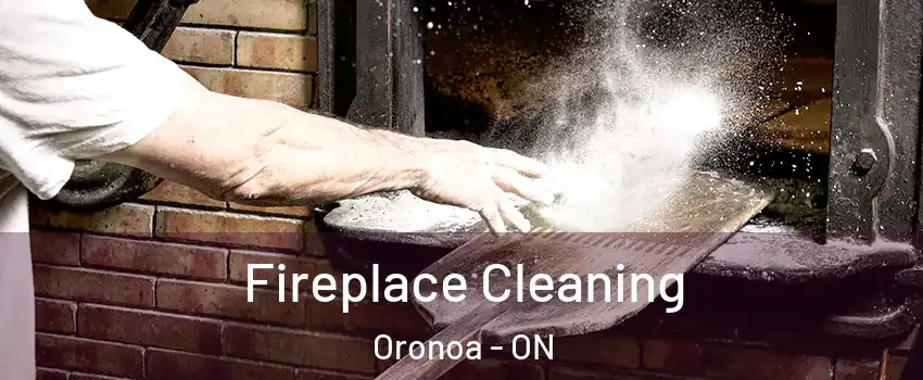  Fireplace Cleaning Oronoa - ON