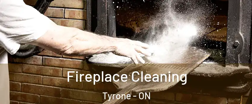  Fireplace Cleaning Tyrone - ON