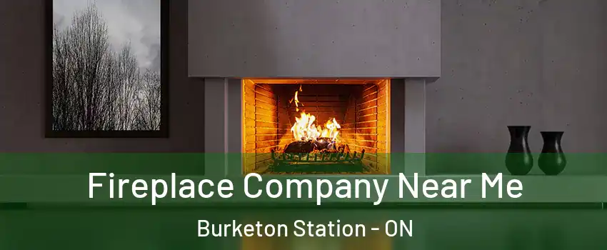 Fireplace Company Near Me Burketon Station - ON
