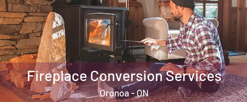  Fireplace Conversion Services Oronoa - ON