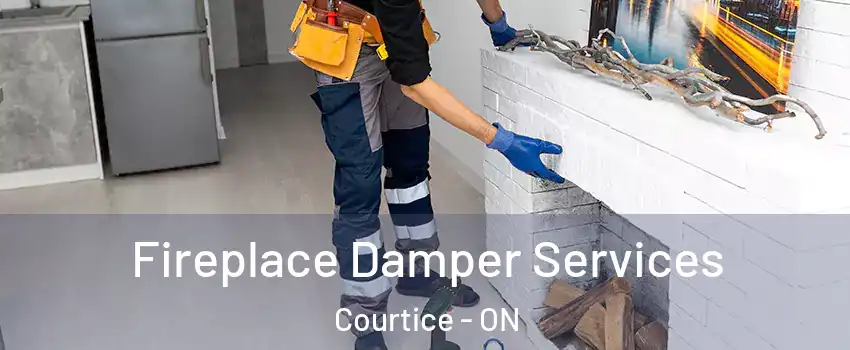  Fireplace Damper Services Courtice - ON