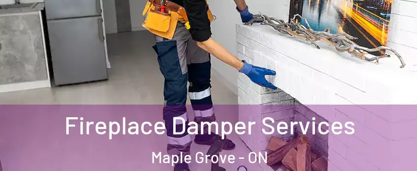  Fireplace Damper Services Maple Grove - ON
