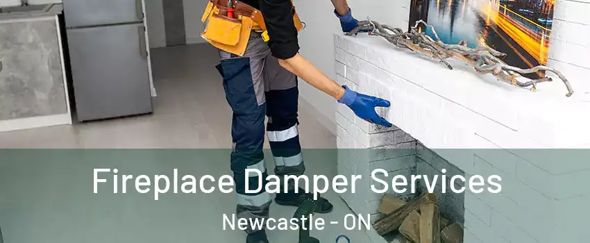  Fireplace Damper Services Newcastle - ON