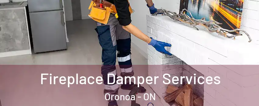  Fireplace Damper Services Oronoa - ON