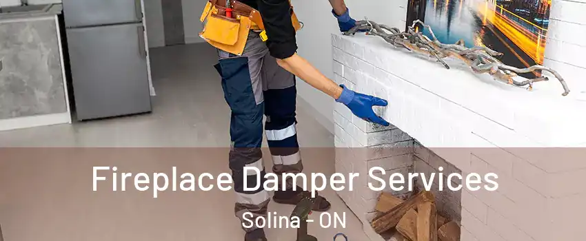  Fireplace Damper Services Solina - ON