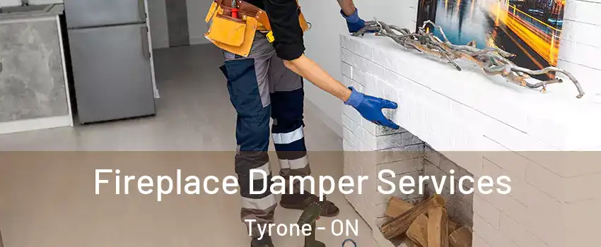 Fireplace Damper Services Tyrone - ON