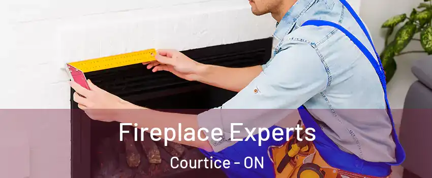  Fireplace Experts Courtice - ON