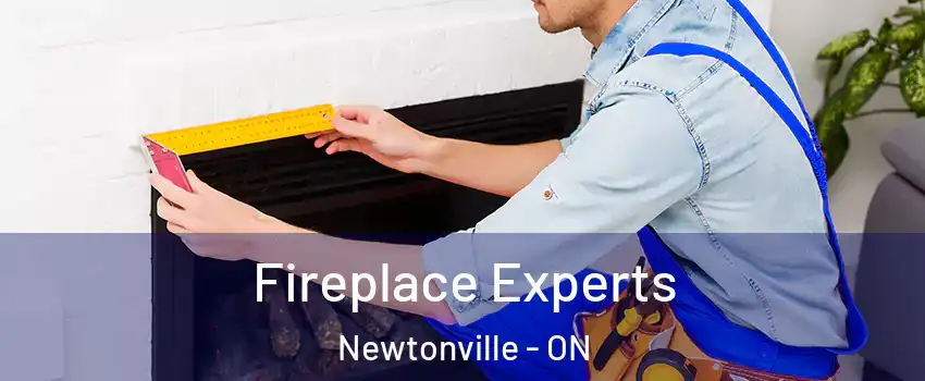  Fireplace Experts Newtonville - ON