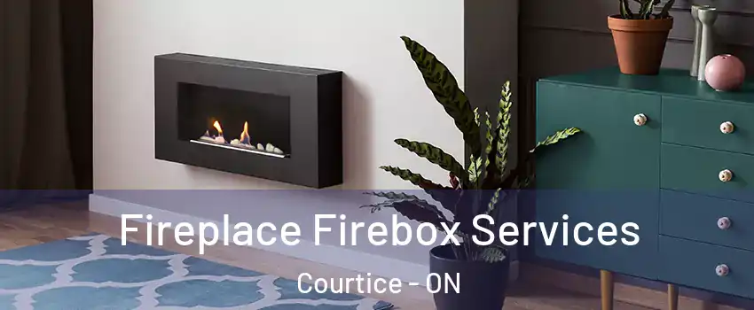  Fireplace Firebox Services Courtice - ON