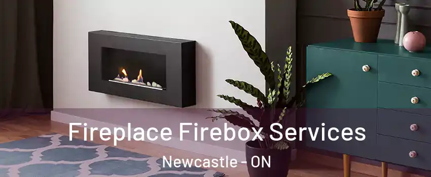  Fireplace Firebox Services Newcastle - ON