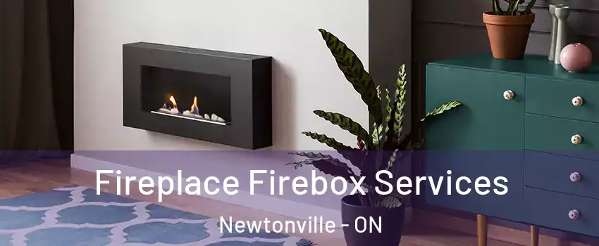  Fireplace Firebox Services Newtonville - ON